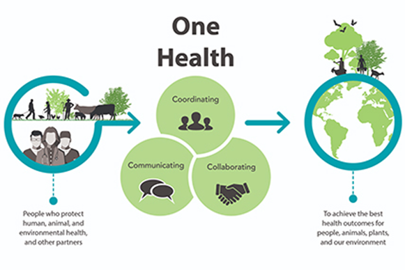 One Health Diagram